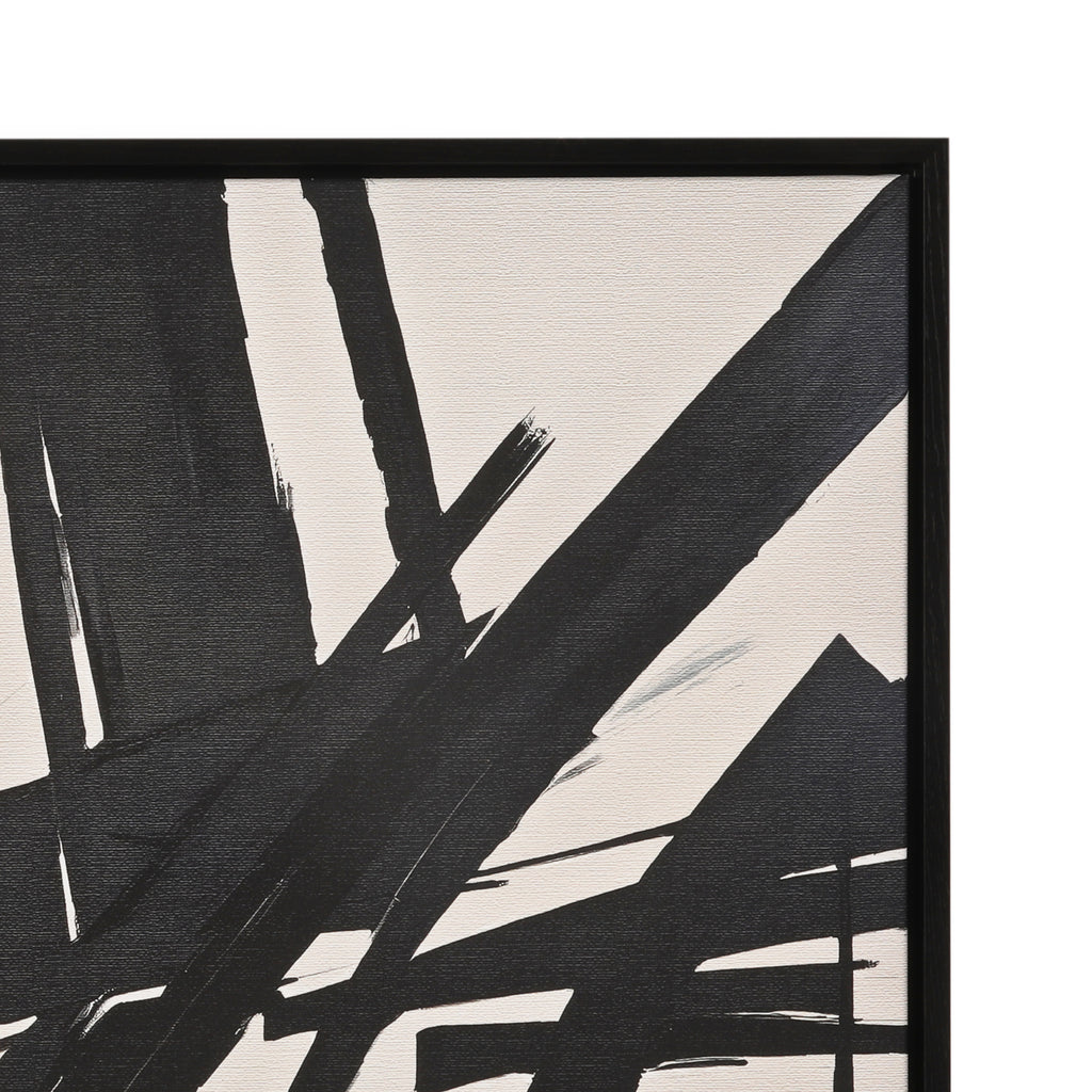 1373 (A+D) B/W Abstract Action A