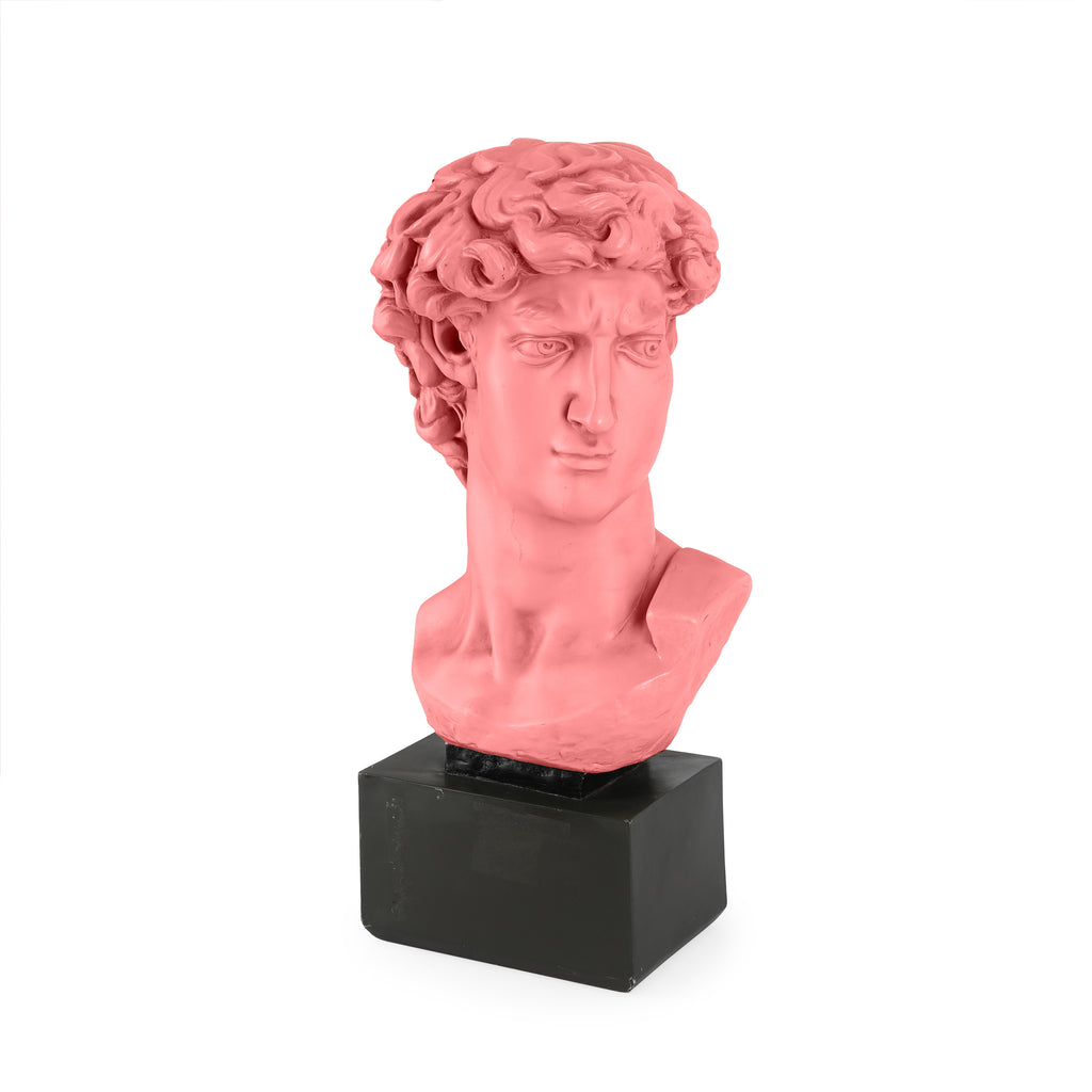 Pink David of Michelangelo Bust