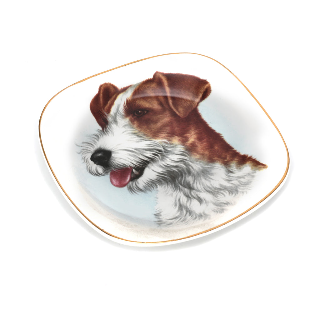 White Ceramic Fox Terrier Dog Dish (A+D)