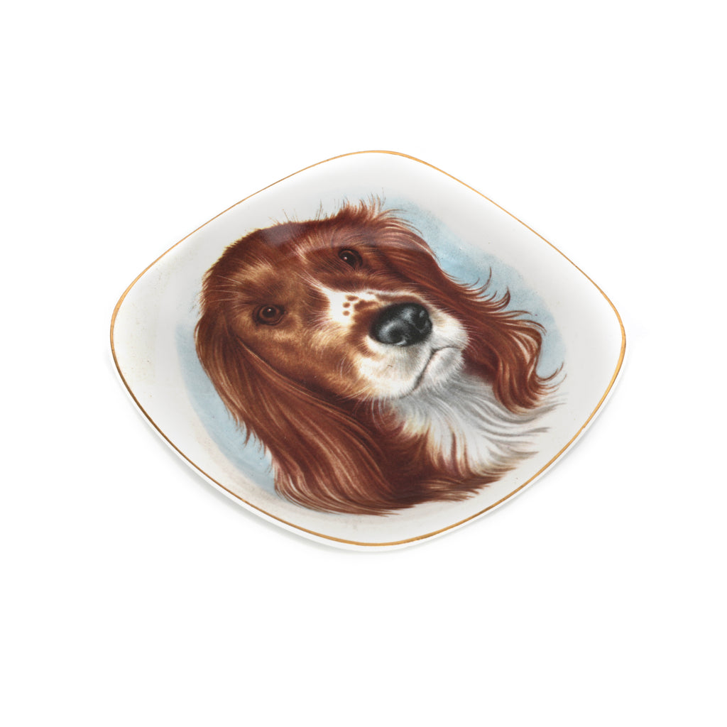 White Ceramic Spaniel Dog Dish (A+D)