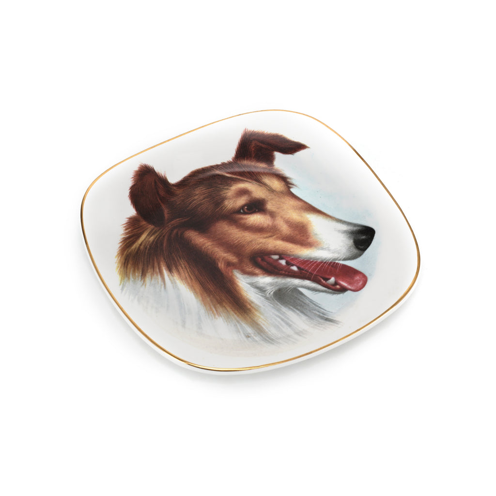 White Ceramic Collie Dog Dish (A+D)