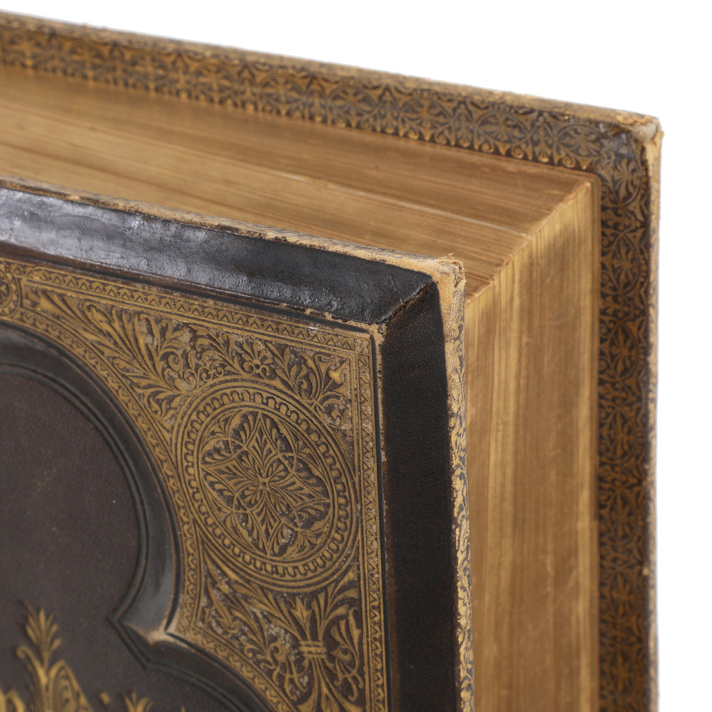 Large Gold & Brown Holy Bible