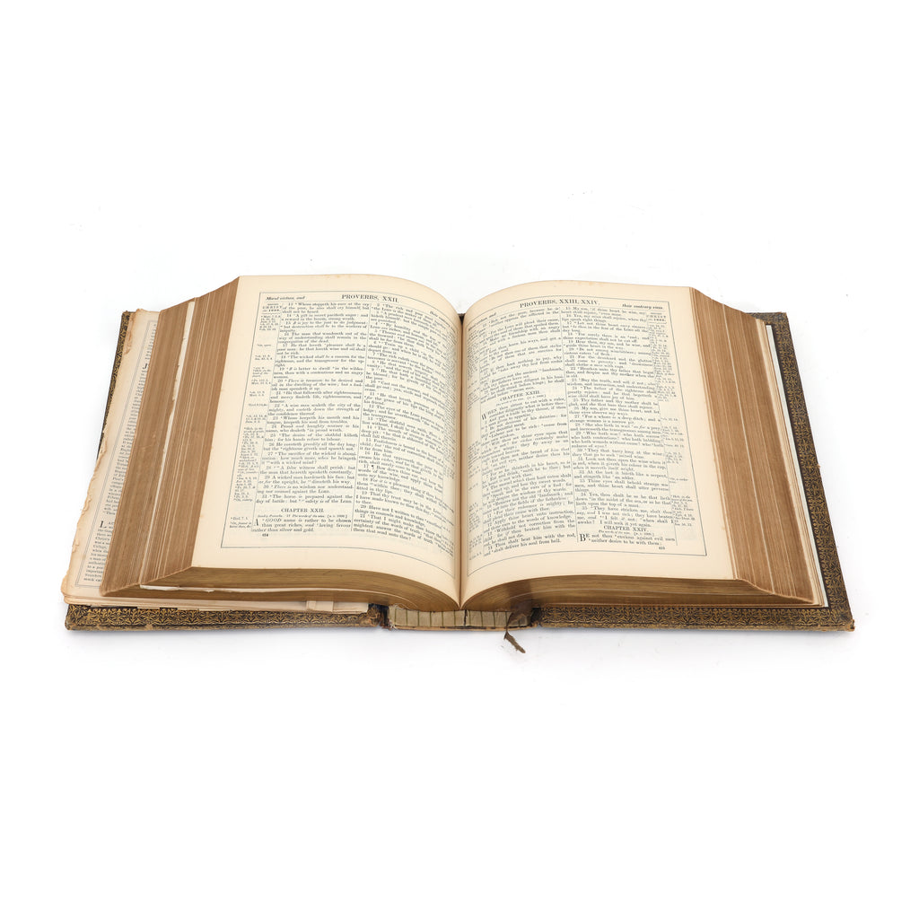 Large Gold & Brown Holy Bible