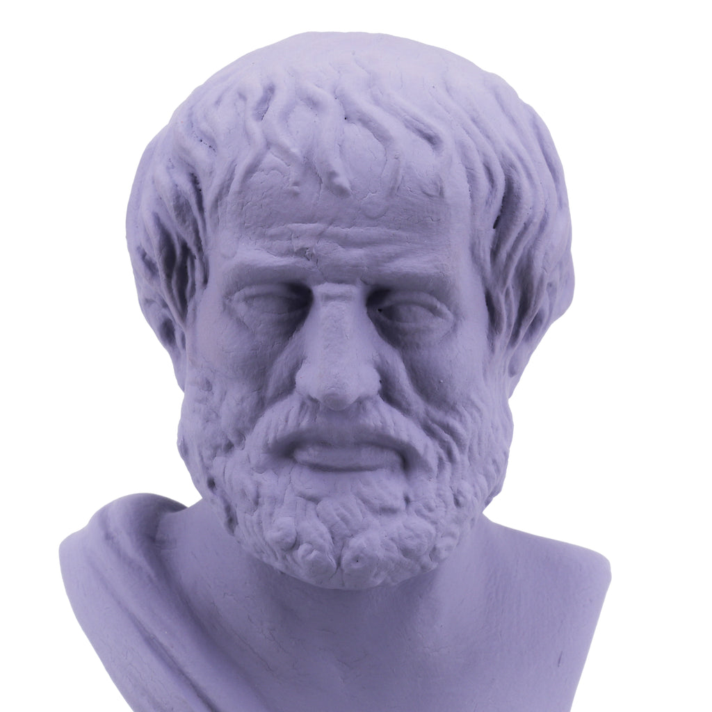 Lavender Male Bust