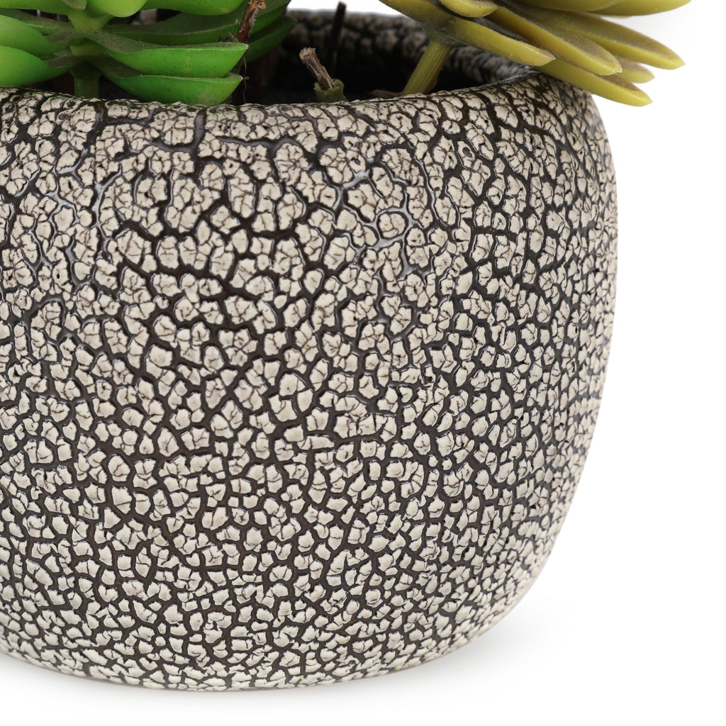Small Textured Planter w/ Faux Succulents