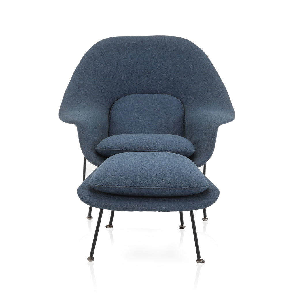 Blue Womb Lounge Chair
