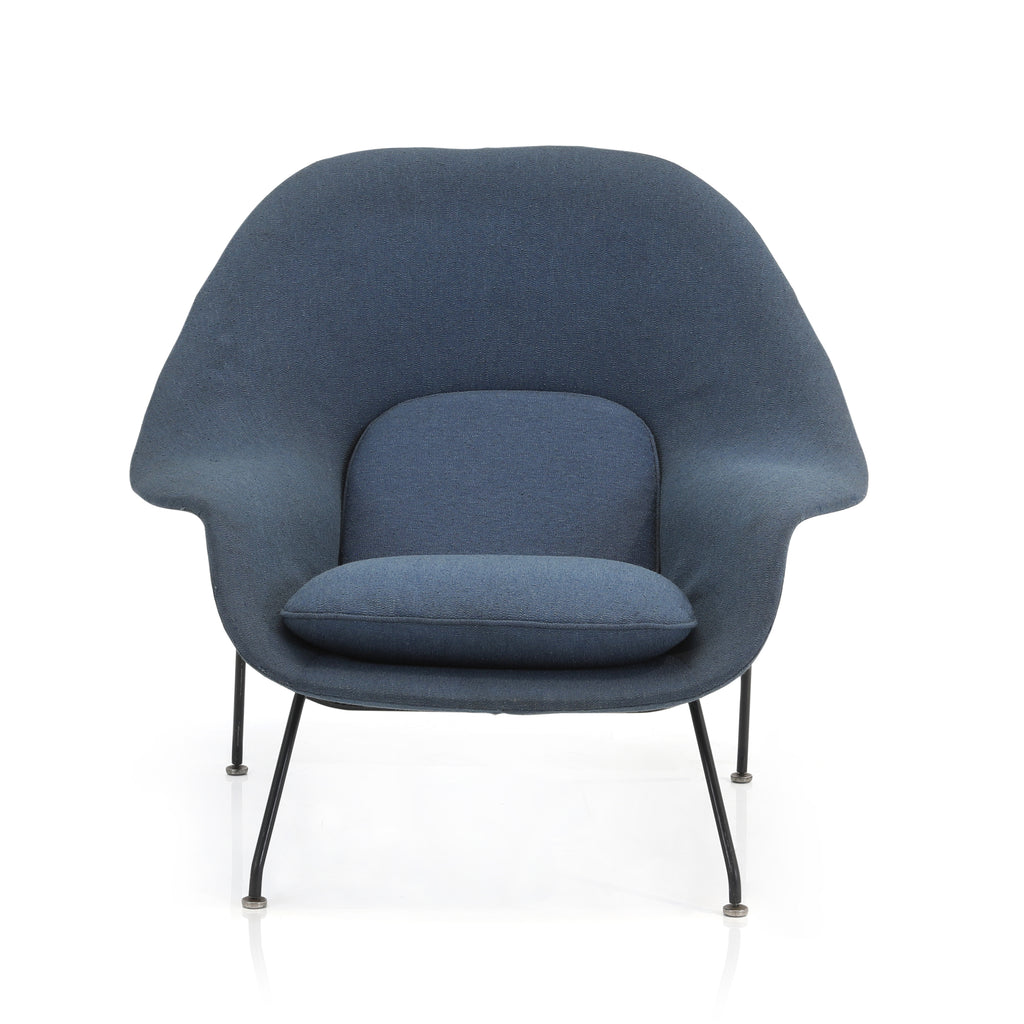 Blue Womb Lounge Chair