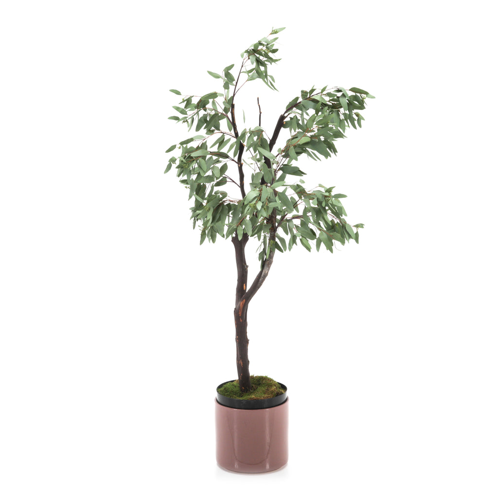 Faux Ficus Tree in Matte Pink Planter