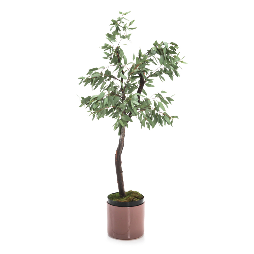 Faux Ficus Tree in Matte Pink Planter