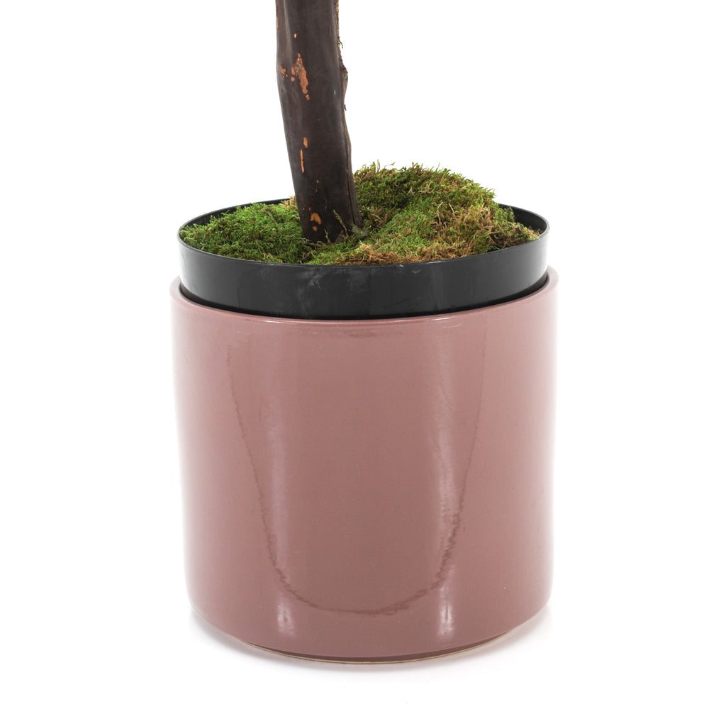Faux Ficus Tree in Matte Pink Planter