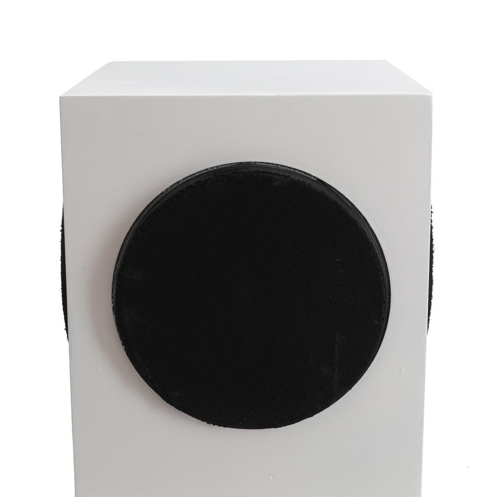 White & Black Rectangular Weltron Speaker