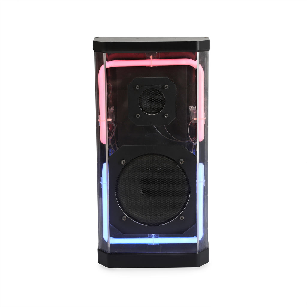 Pair Of Clear Neon Speakers