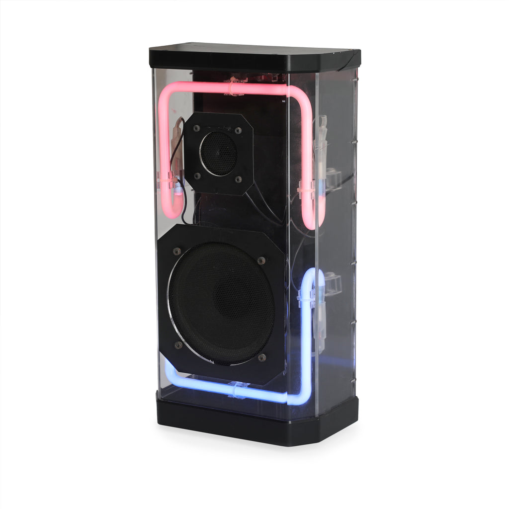 Pair Of Clear Neon Speakers