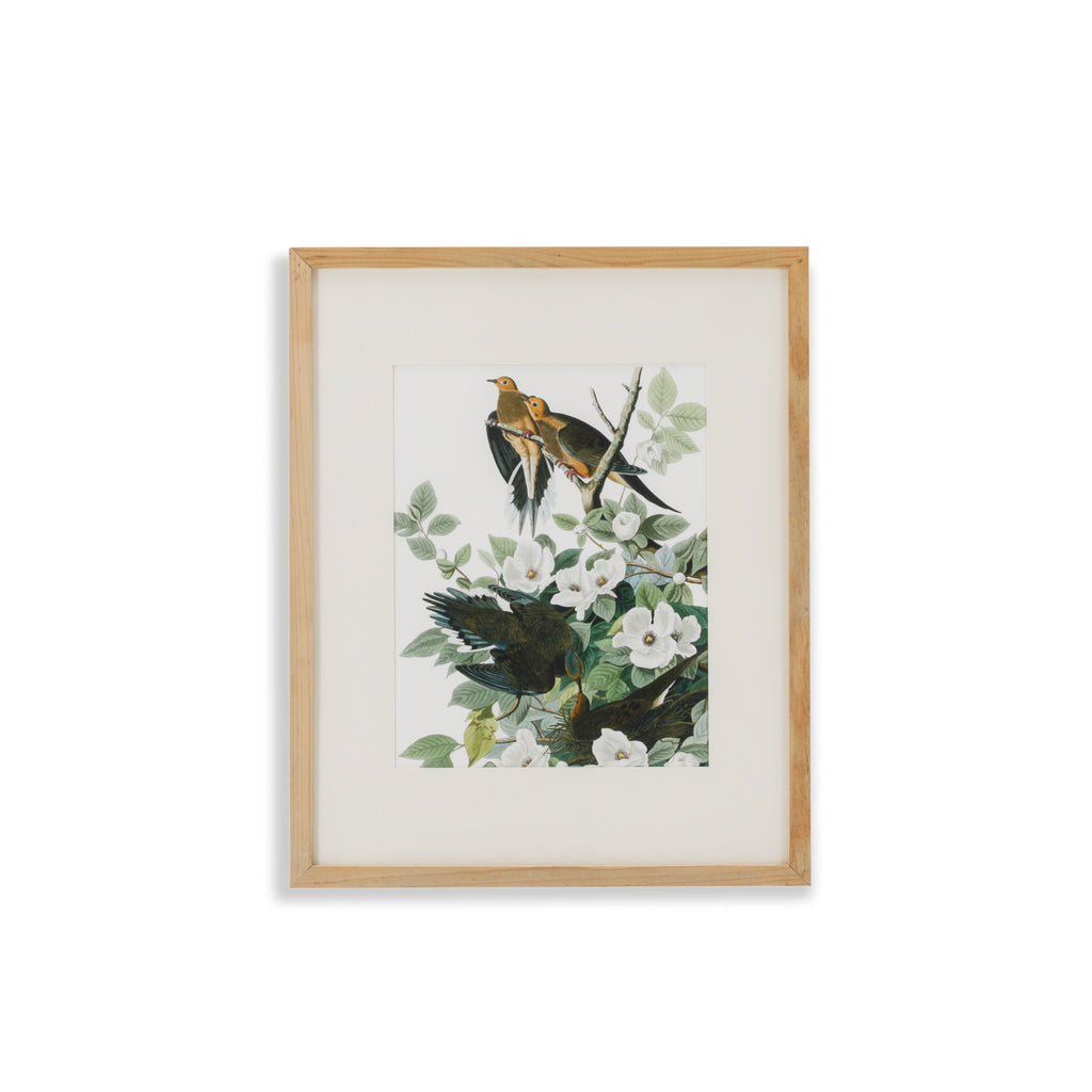 (A+D) Doves on Tree Branch