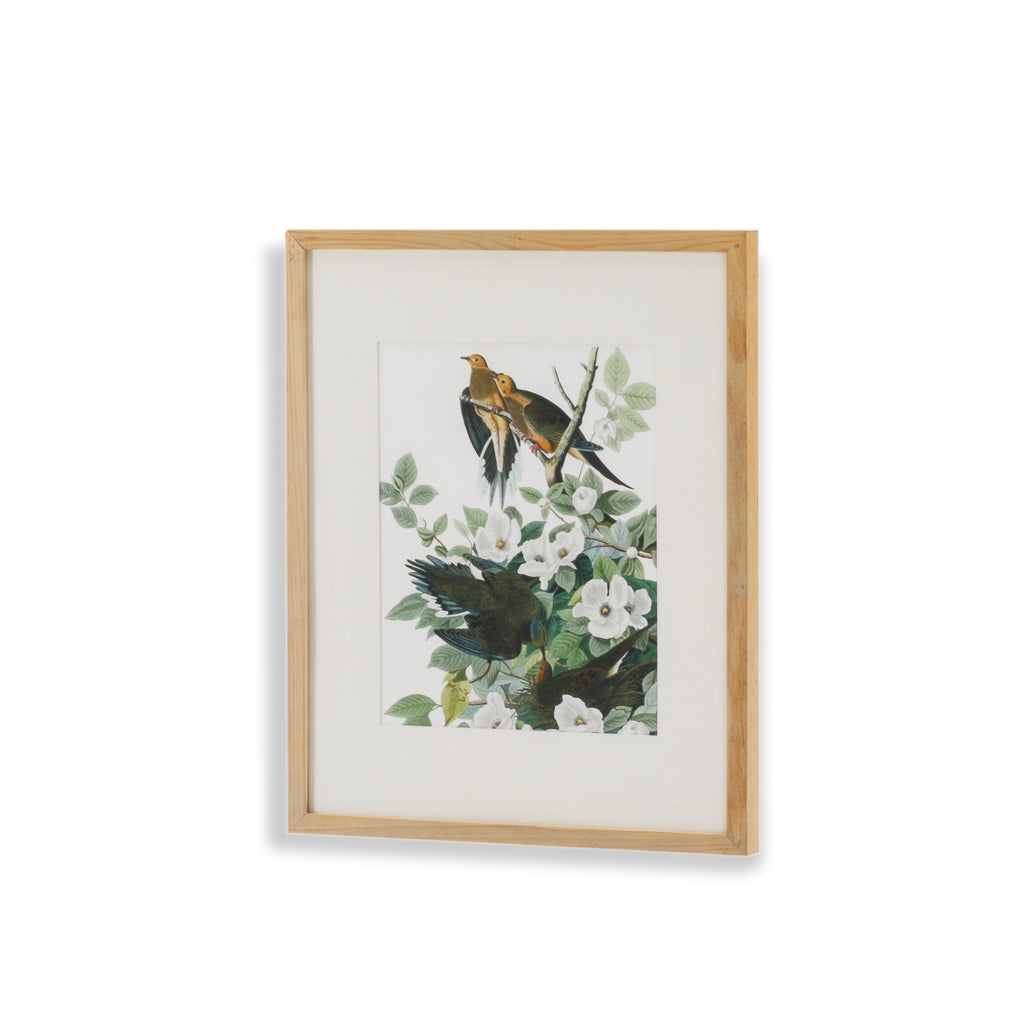 (A+D) Doves on Tree Branch