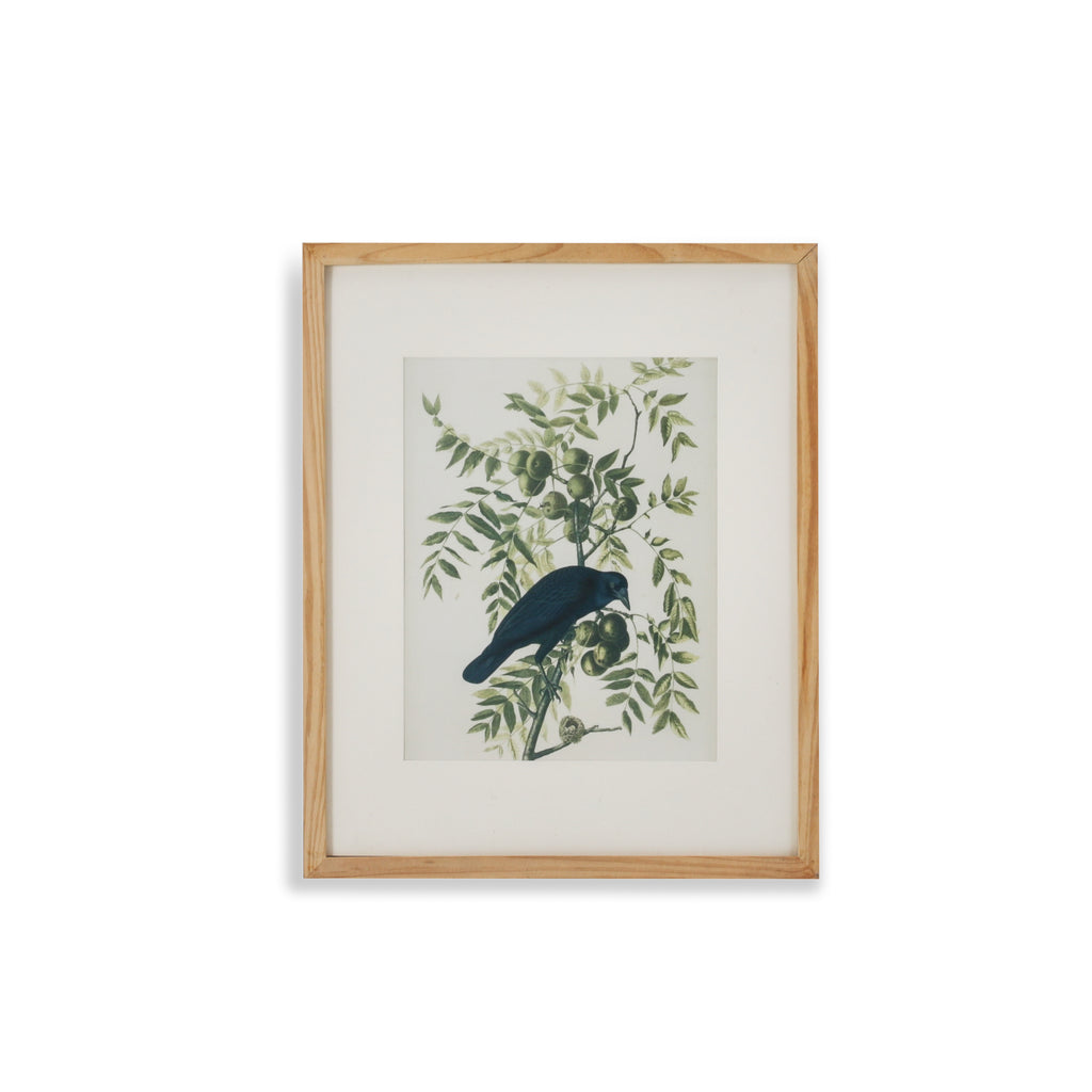 (A+D) Black Bird on Tree Branch