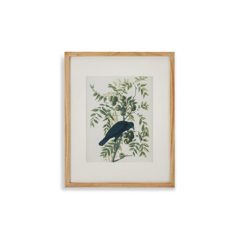 (A+D) Black Bird on Tree Branch