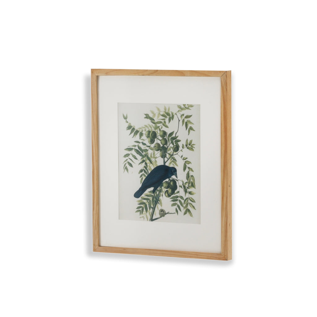 (A+D) Black Bird on Tree Branch