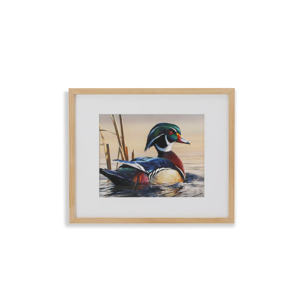 (A+D) Duck on Tree Branch