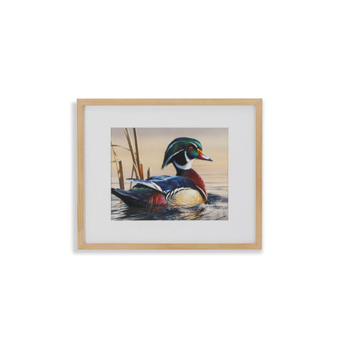 (A+D) Duck on Tree Branch