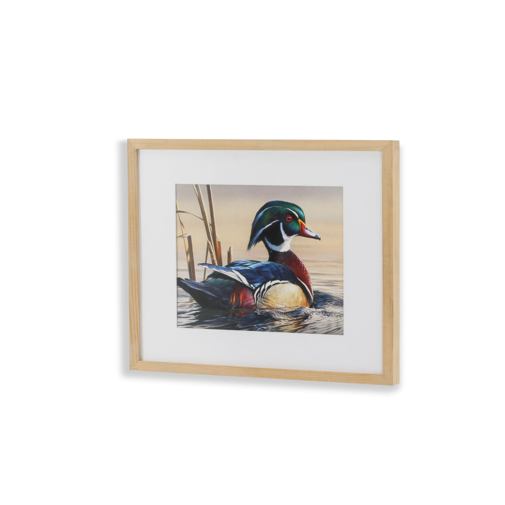 (A+D) Duck on Tree Branch