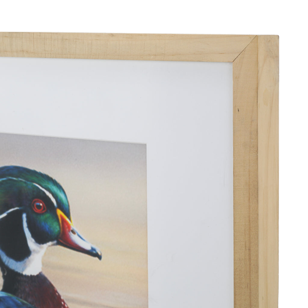 (A+D) Duck on Tree Branch