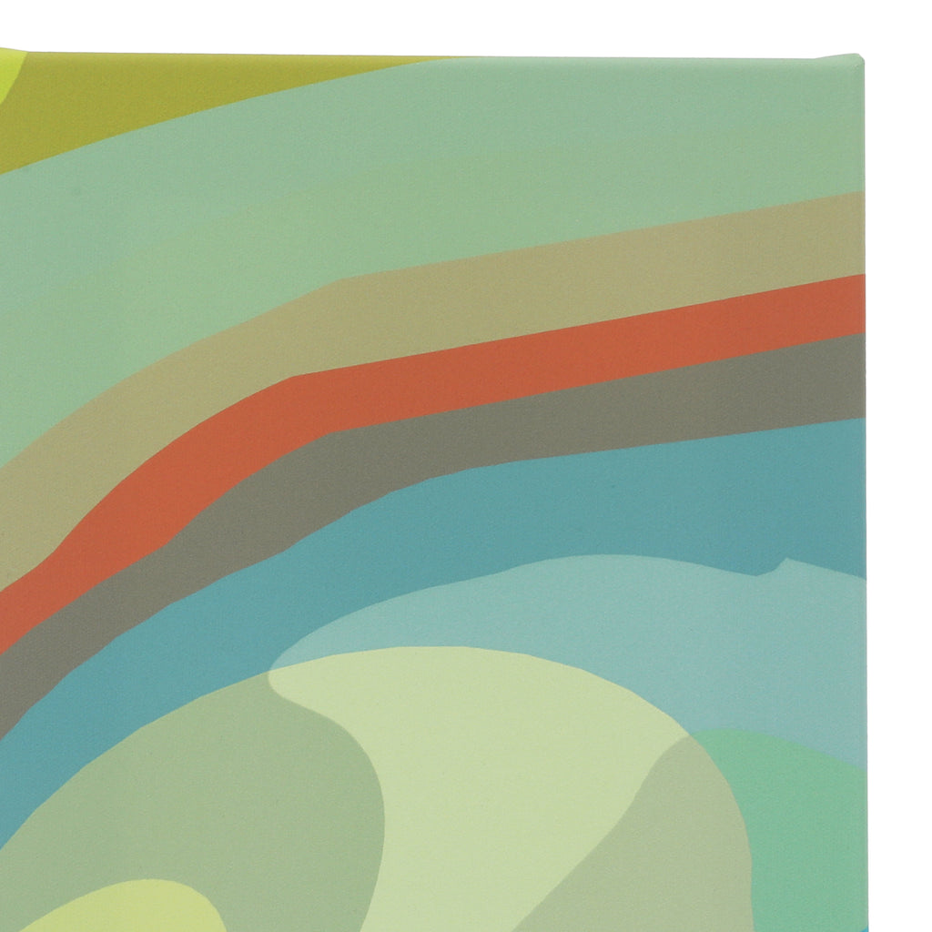 1346 (A+D) Hippie Pastel Swirls C