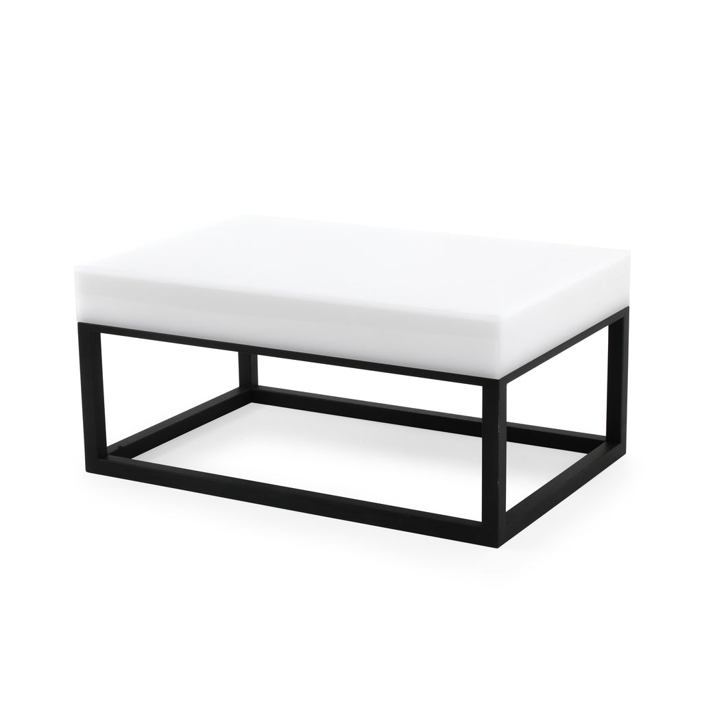 Rectangular Acrylic / Metal Display Platform