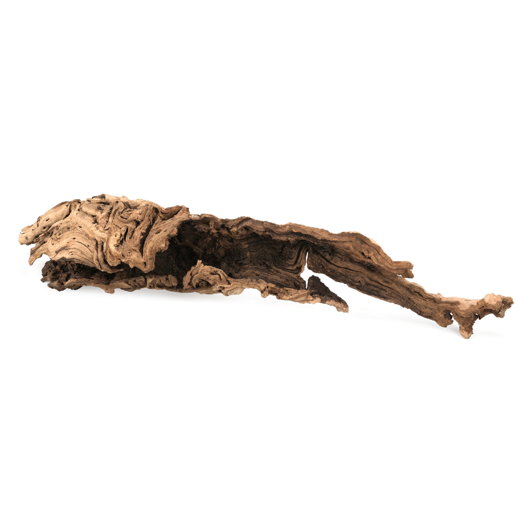 Large Hollow Driftwood