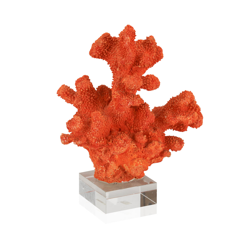 Orange Coral w/ Acrylic Base (A+D)