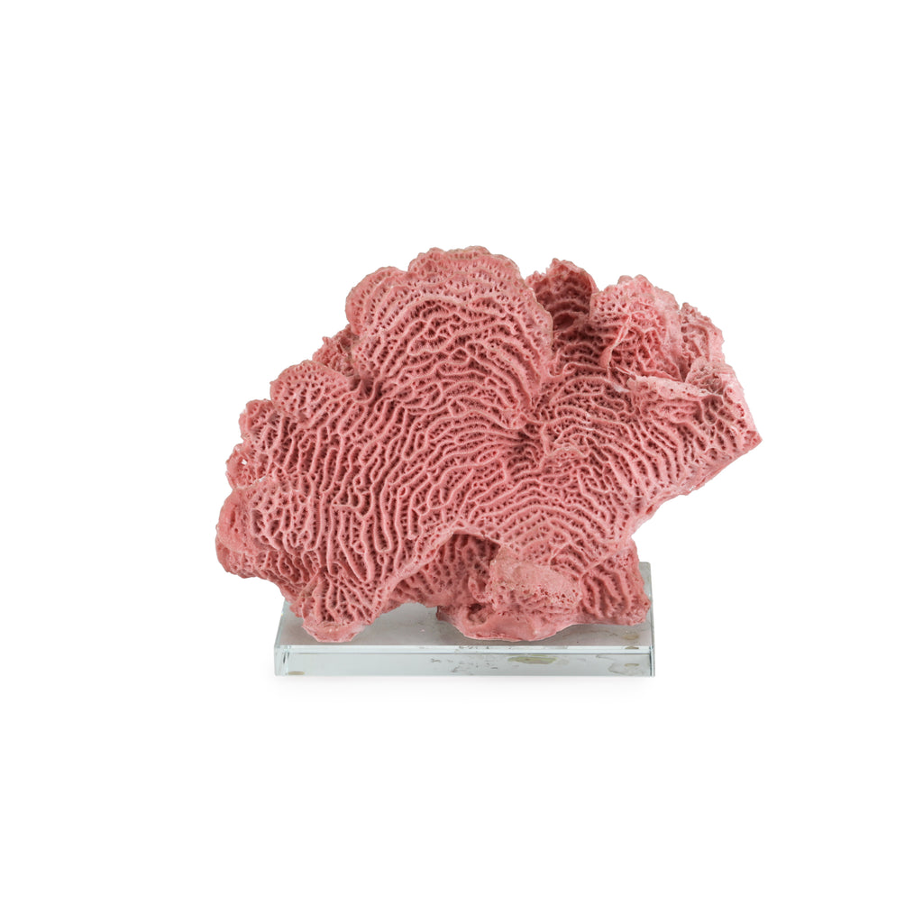Light Pink Coral w/ Glass Base (A+D)