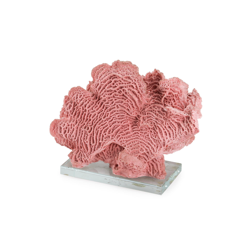 Light Pink Coral w/ Glass Base (A+D)
