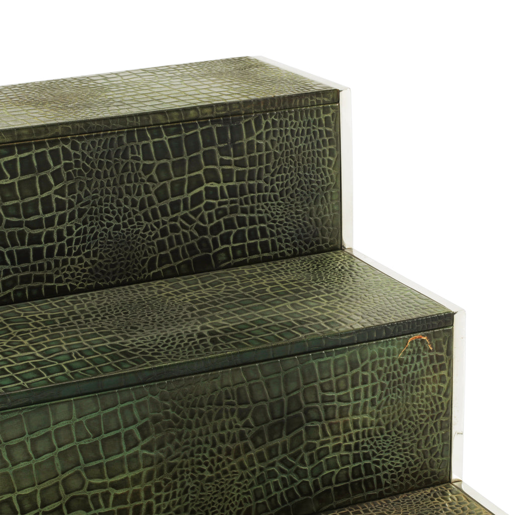 Green Crocodile / Chrome Steps