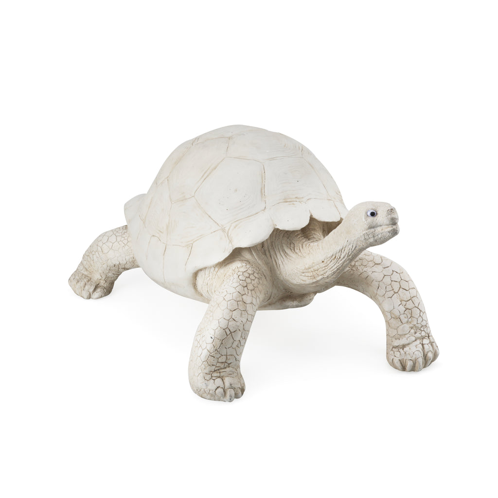 White Tortoise Sculpture