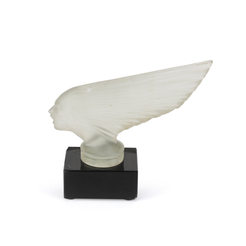 Frosted Wing Head Sculpture (A+D)