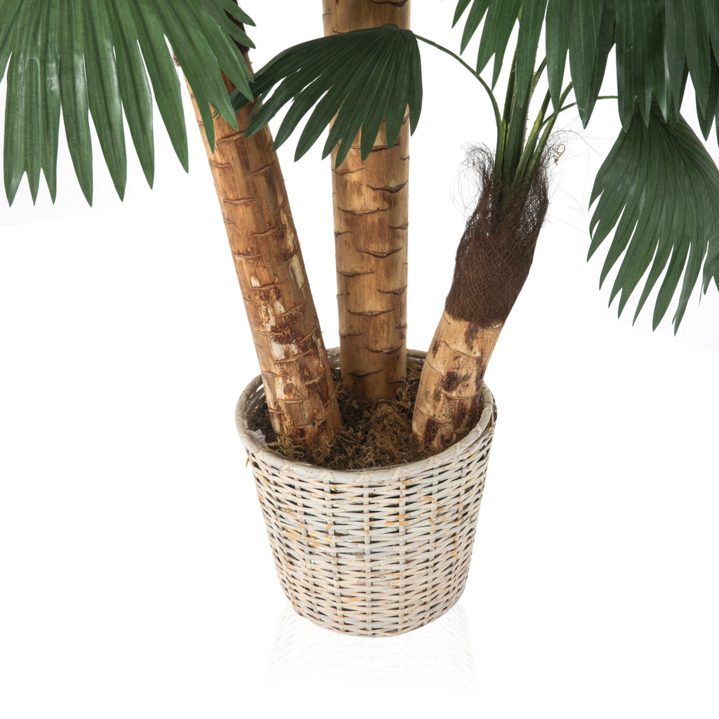 Faux Palm Tree in Wicker Planter #1