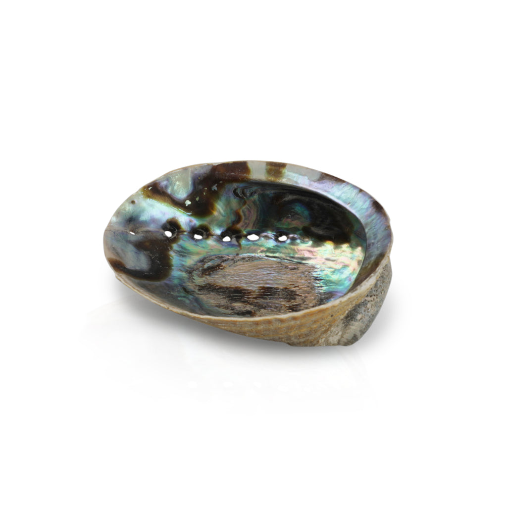 Iridescent Seashell Dish (A+D)