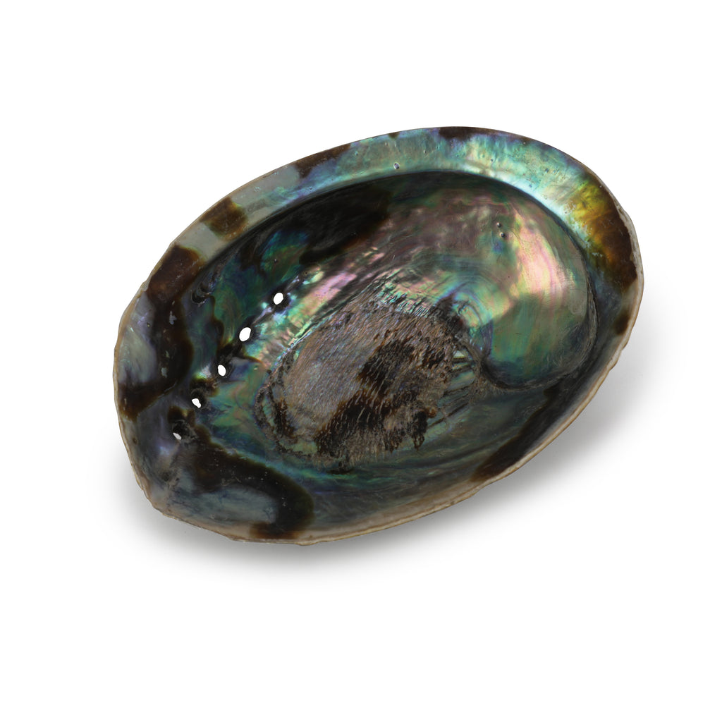 Iridescent Seashell Dish (A+D)