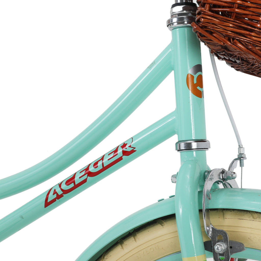 Teal Aceger Kids Bicycle with Brown Seat & Basket