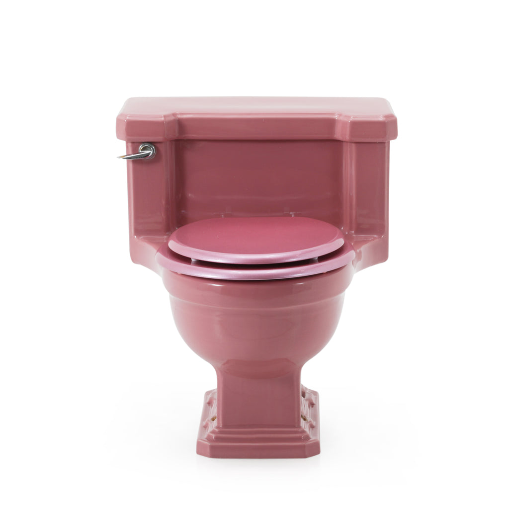 Pink Toilet