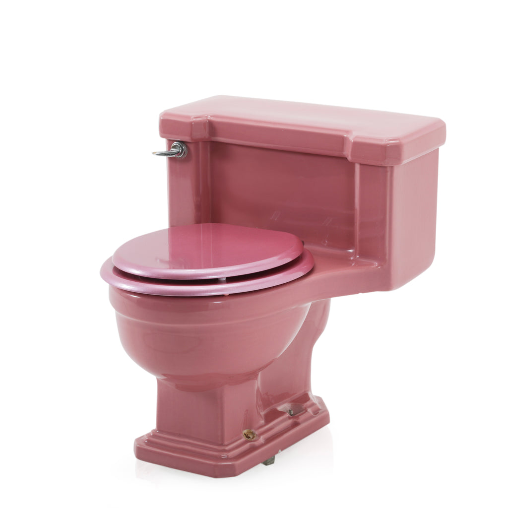 Pink Toilet