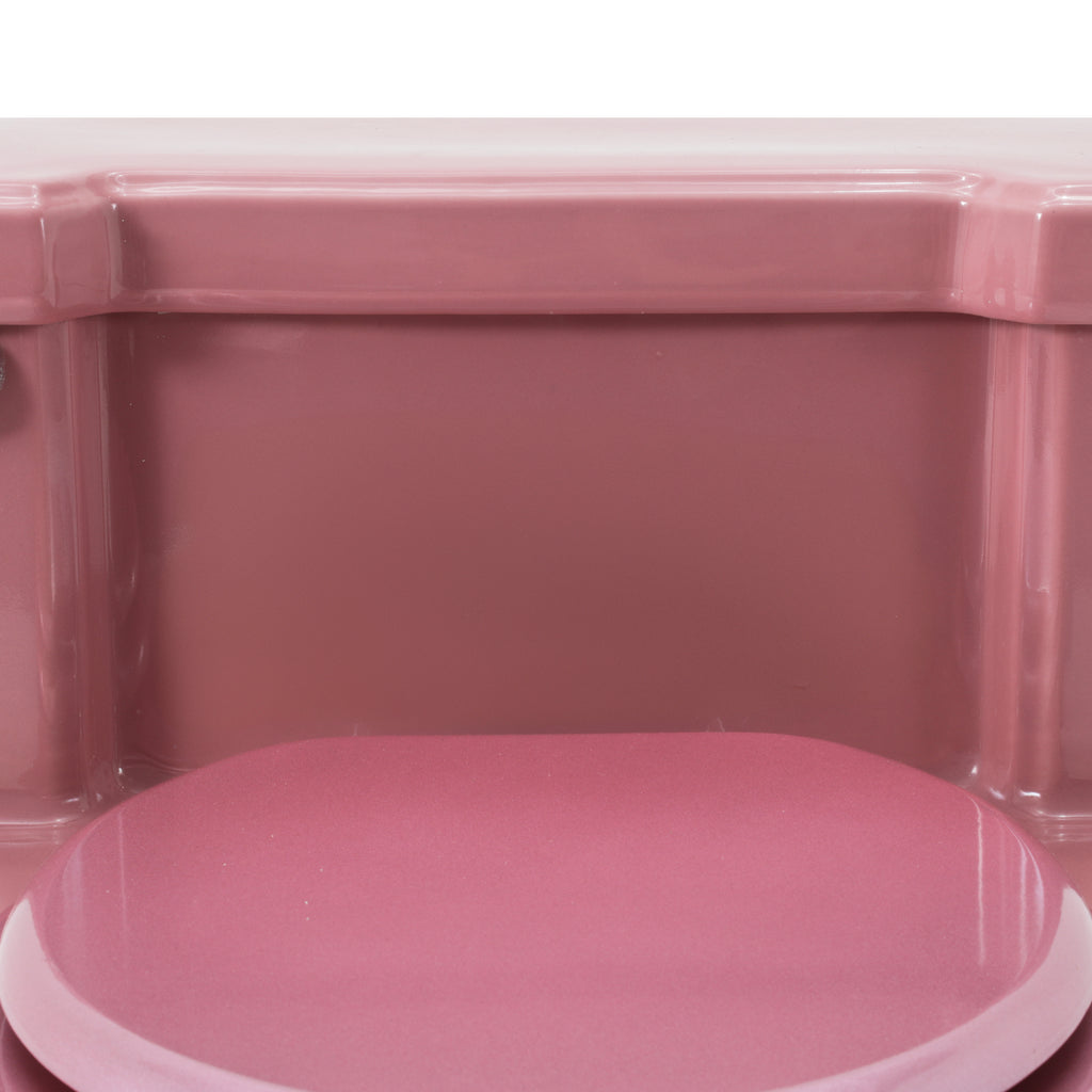 Pink Toilet