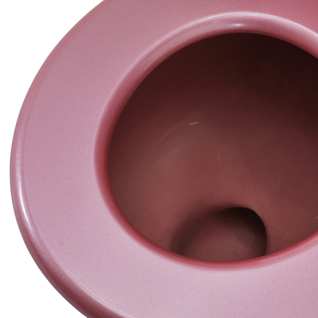 Pink Toilet