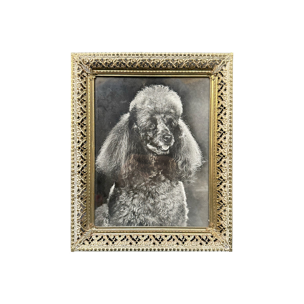 (A+D) Gold Frame Poodle Art