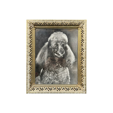 (A+D) Gold Frame Poodle Art