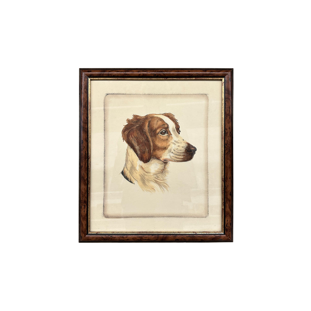 0012-A (A+D) Spaniel Framed Vintage Print