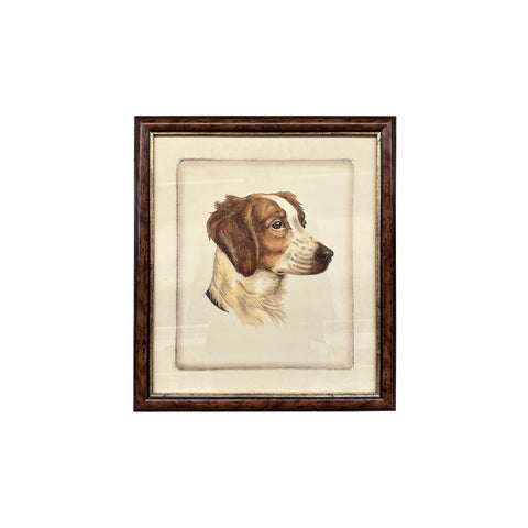0012-A (A+D) Spaniel Framed Vintage Print