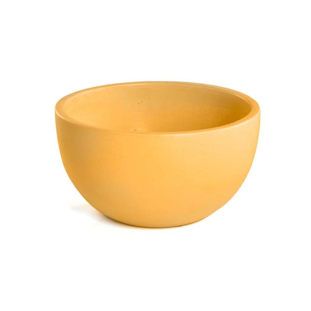 Small Mustard Case Study Planter