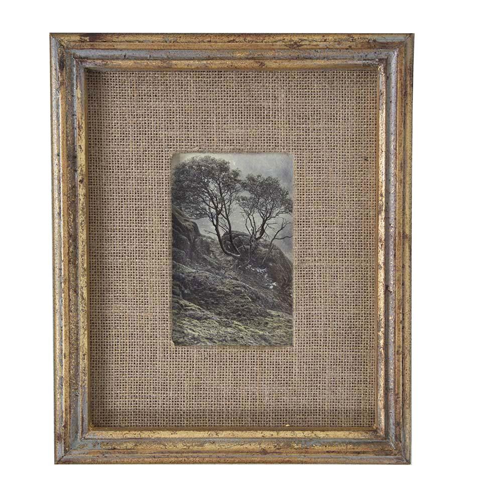 0920 (A+D) Burlap Tree