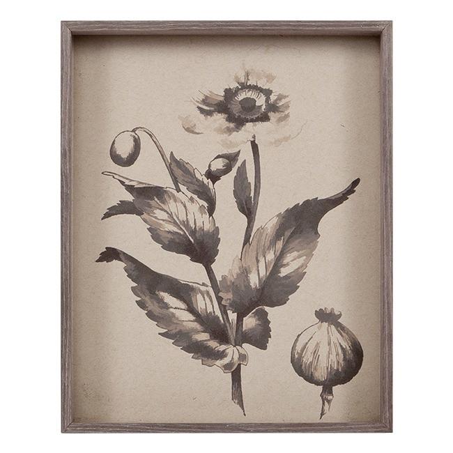 0491 (A+D) Poppy Engraving